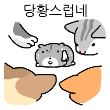 쪼그만 게 맞말햄스터
