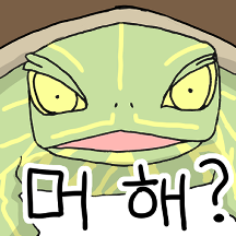 불량거북 박생순 01