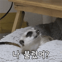 이모티콘 프리뷰