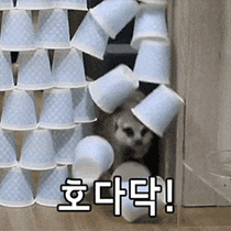 이모티콘 프리뷰