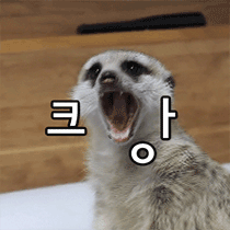 이모티콘 프리뷰