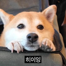 이모티콘 프리뷰
