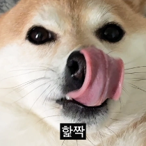 이모티콘 프리뷰