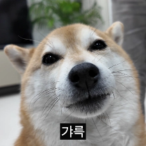 이모티콘 프리뷰