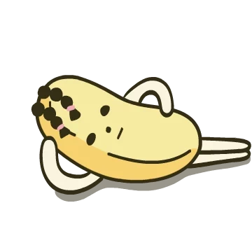 나한테반하나나씨