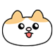 고양이찌