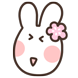 쁘띠토끼