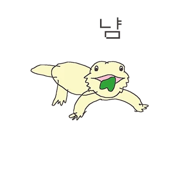 비어드 두래곤
