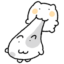 알꽁달꽁 냥냥커플