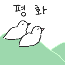 오늘도 평화로운 비둘둘기