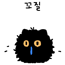 포실포실 털뭉치냥