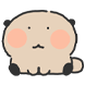 비부
