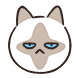 겉차속따 고양이 샴