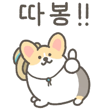 코기티콘 5