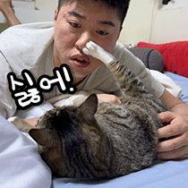 이모티콘 프리뷰