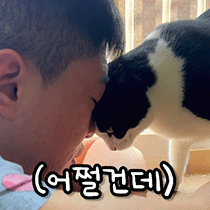 이모티콘 프리뷰