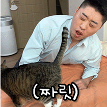 이모티콘 프리뷰
