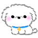 멈몽이