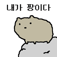 바위너구리 짱짱슨