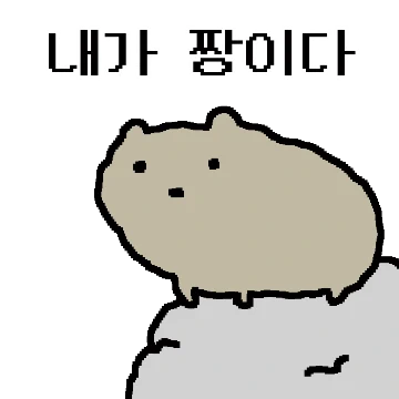 바위너구리 짱짱슨