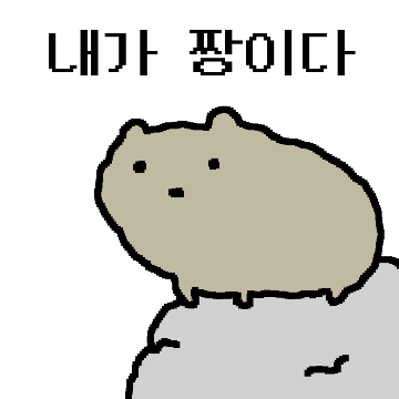 바위너구리 짱짱슨