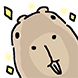 왕크왕귀 카피바라 호프