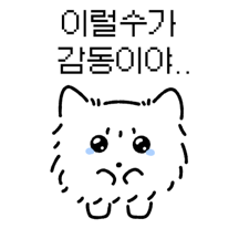 감동받는 고양이 동냥이..