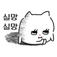 고먀미 관찰기