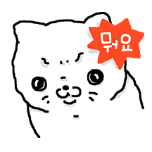 고양이! 귀엽다! 재밌다!