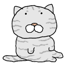말없는 고냉이