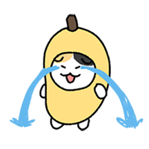찌그러진 바보 삼색고양이 8