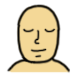 빛선인