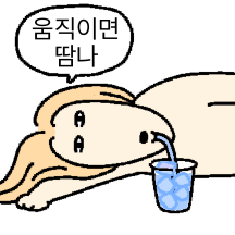 장발 하운드의 여름안에서