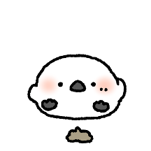 귀여운 흰덩이 뱁새 쪽쪽이!