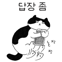 냐옹모음