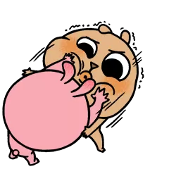 알고보면 다정다정~