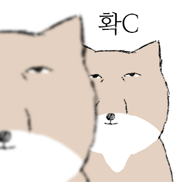 수상한 T벳여우