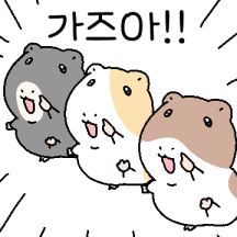 3부) 당신이 몰랐던 기니피그행동 24선