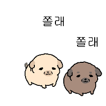 눌어붙은 커플 누덩이