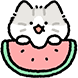 솜털냥이