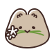 새앙이