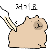 둔둔바라2