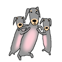 길쭈우우우우욱한 닥수쭉