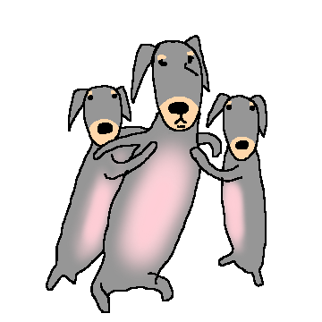 길쭈우우우우욱한 닥수쭉