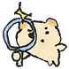 곰짱이