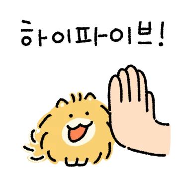 우리집 포메왕자 쿤이