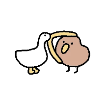 키위새 한마리 데려가세요~ 12