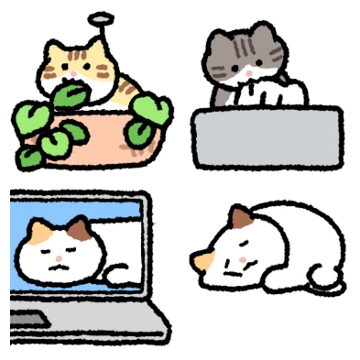 고양이로 집꾸미기