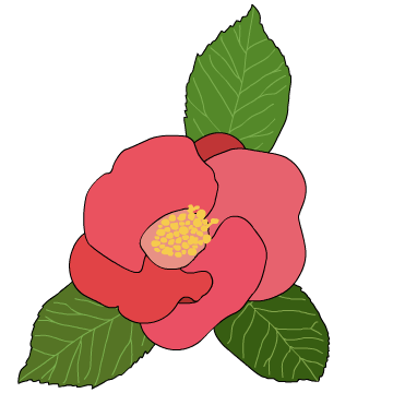 오여사의 멋진 인생