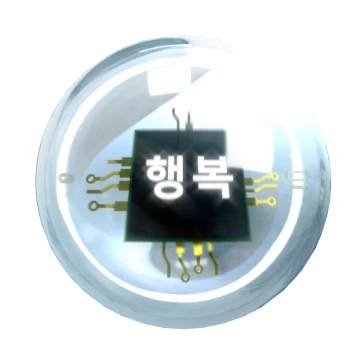 입체활극